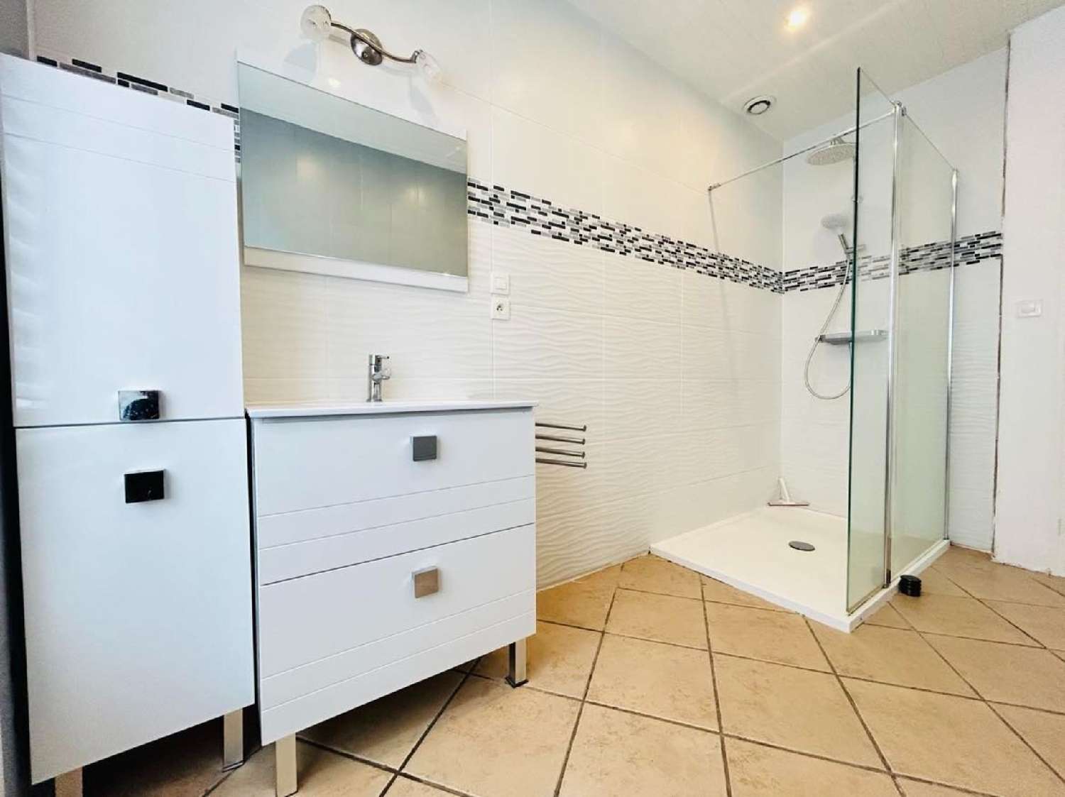 à vendre maison Panissières Loire 6