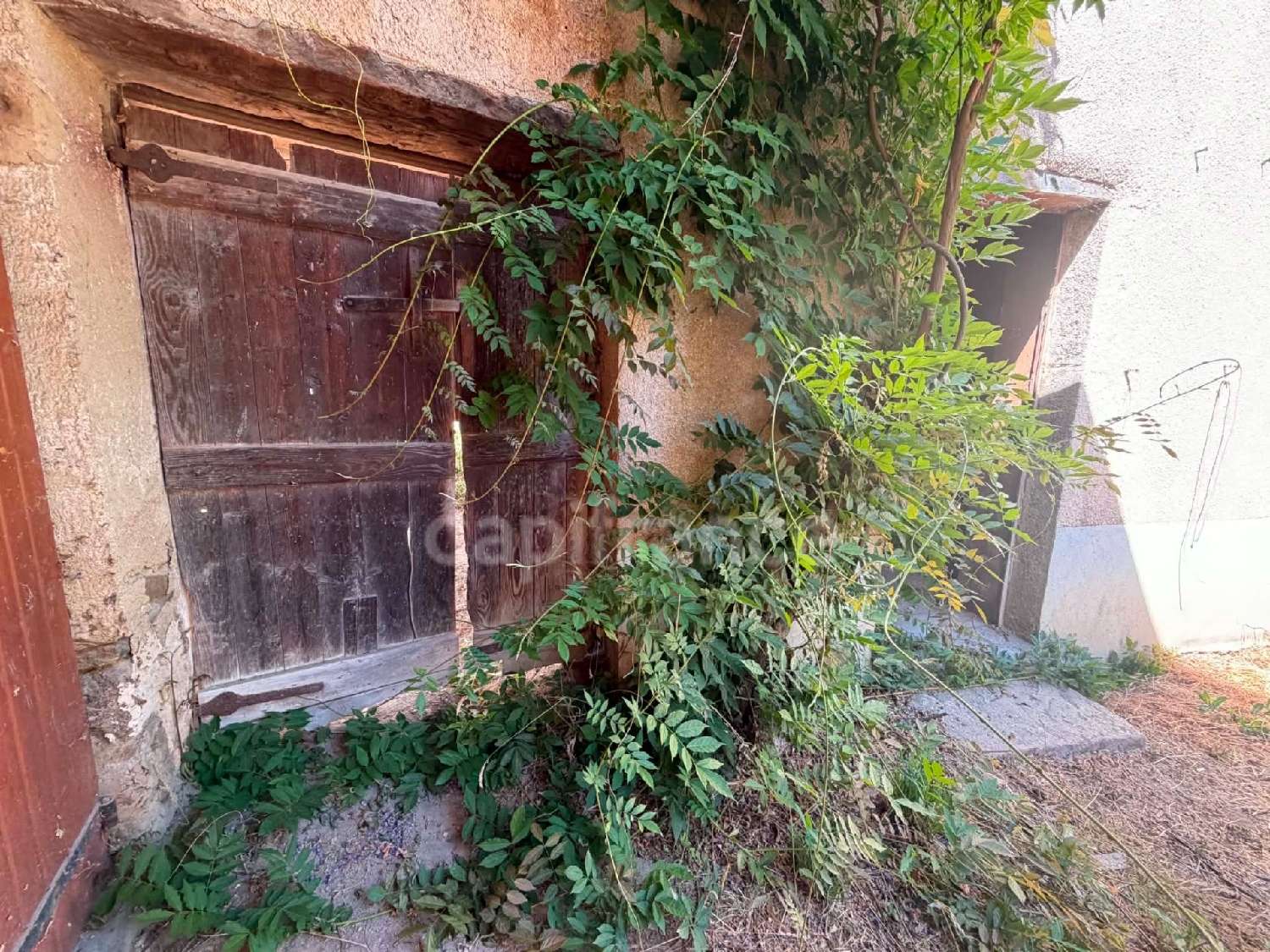 à vendre maison Panissières Loire 1