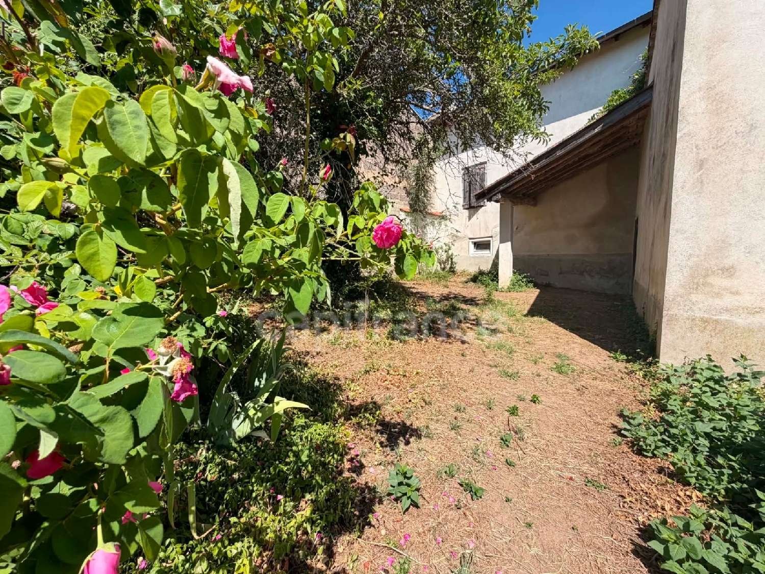 à vendre maison Panissières Loire 3