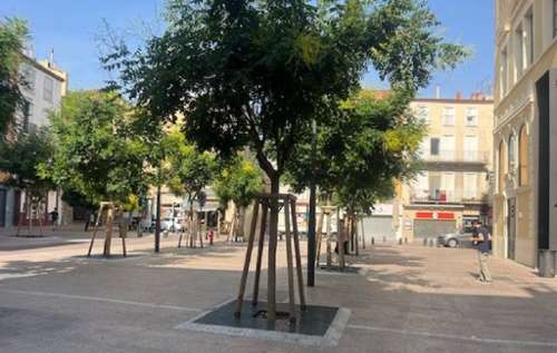 Perpignan Pyrénées-Orientales Haus foto