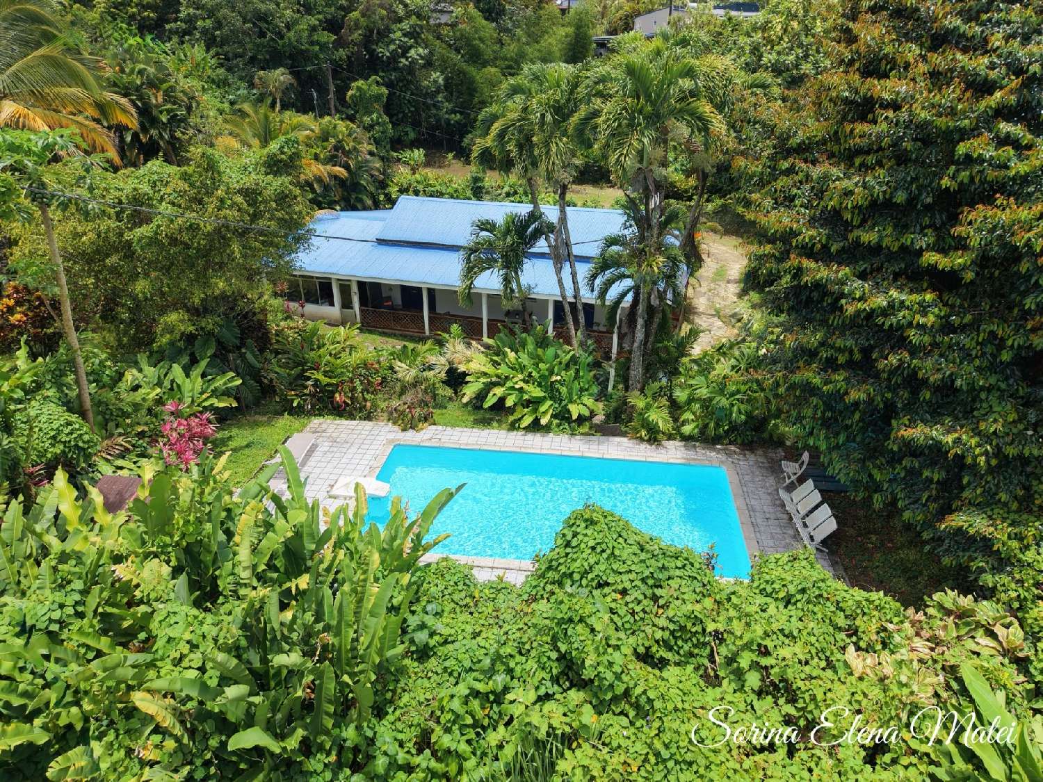kaufen Haus Petit-Bourg Guadeloupe 1