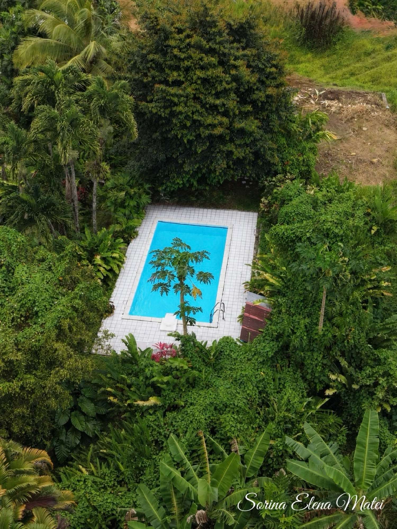 kaufen Haus Petit-Bourg Guadeloupe 2