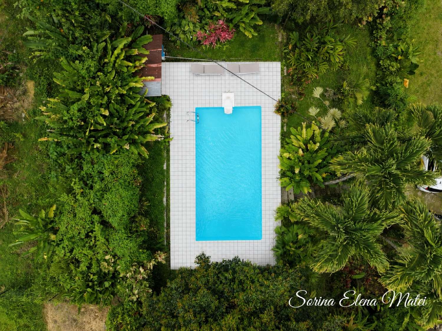 kaufen Haus Petit-Bourg Guadeloupe 3