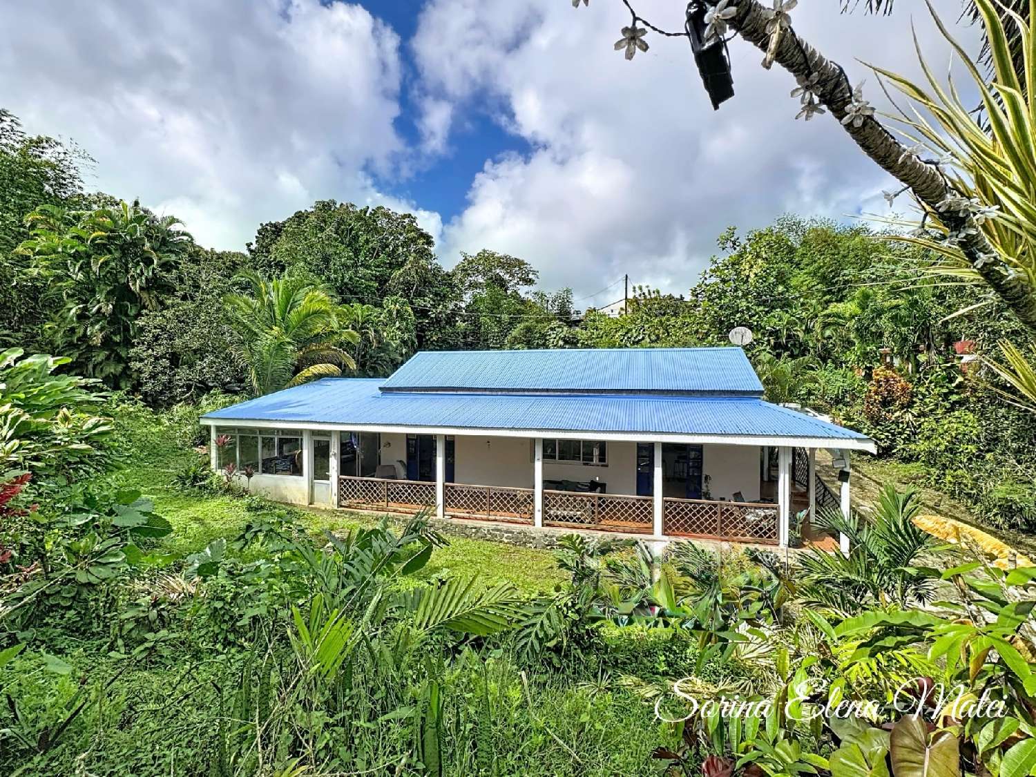 kaufen Haus Petit-Bourg Guadeloupe 4