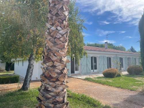 Pin-Balma Haute-Garonne huis foto 7416570