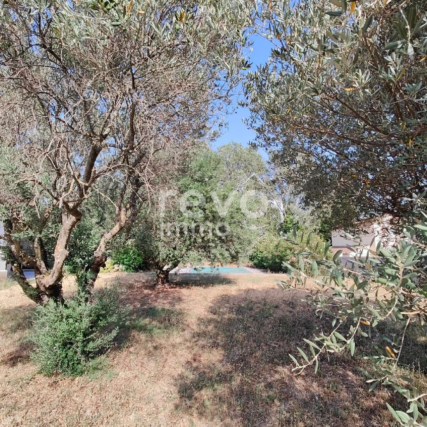 te koop huis Piolenc Vaucluse 8