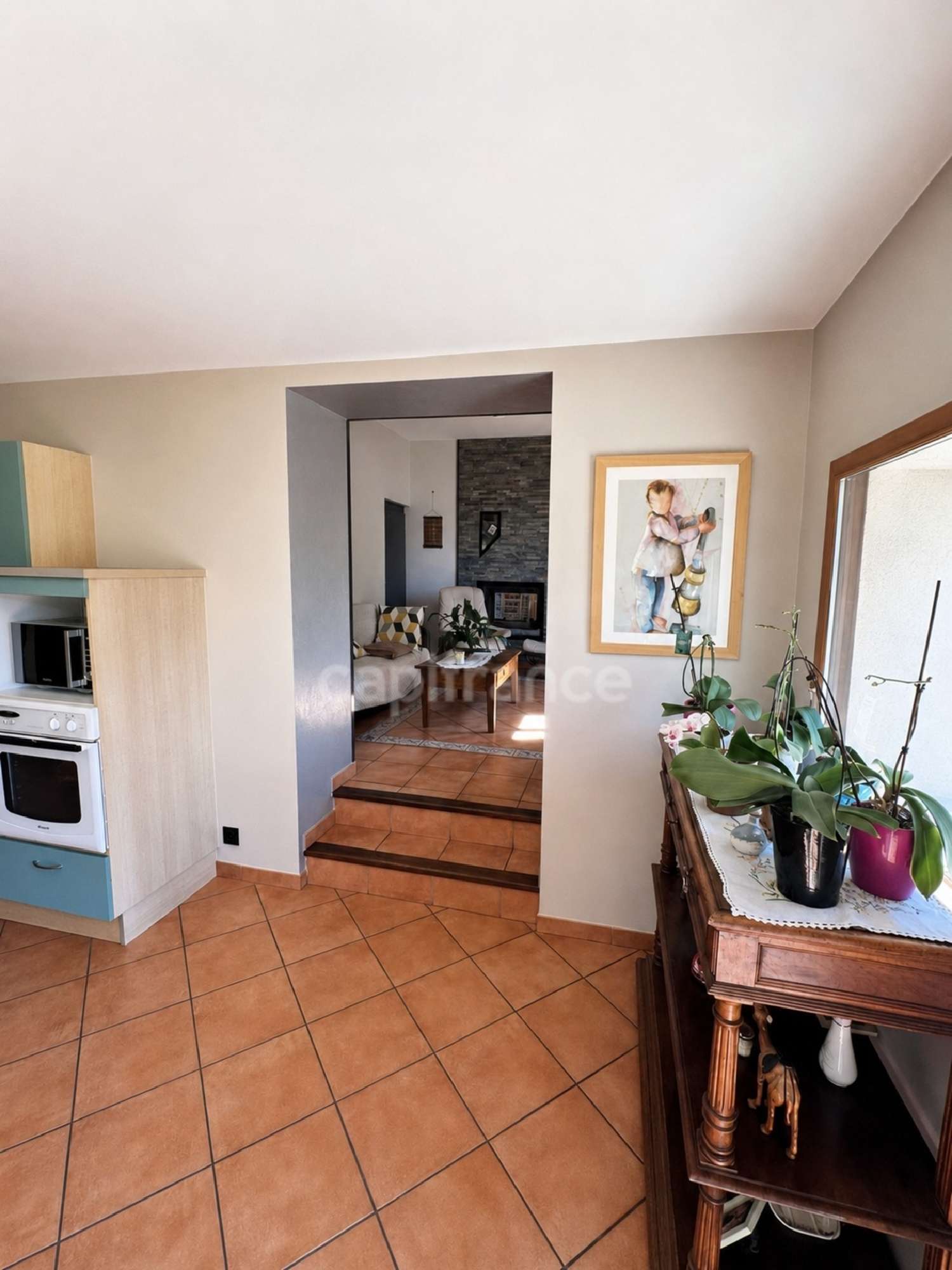 kaufen Haus Pommiers-la-Placette Isère 7