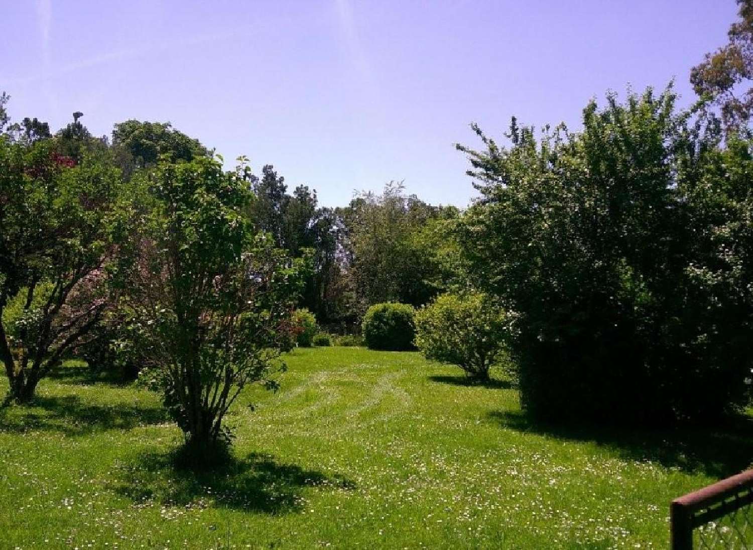 for sale house Pressac Vienne 5