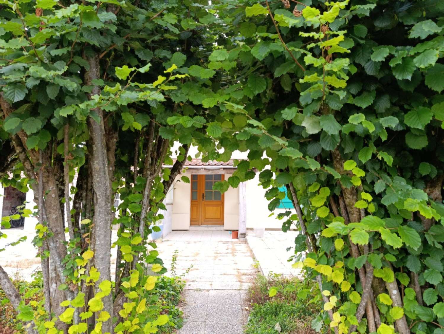 te koop huis Revigny-sur-Ornain Meuse 8