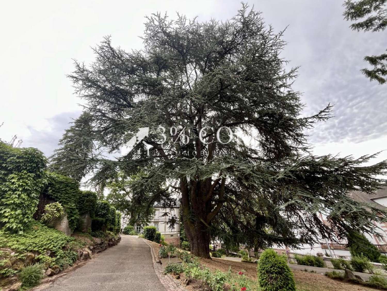 for sale house Ribeauvillé Haut-Rhin 3