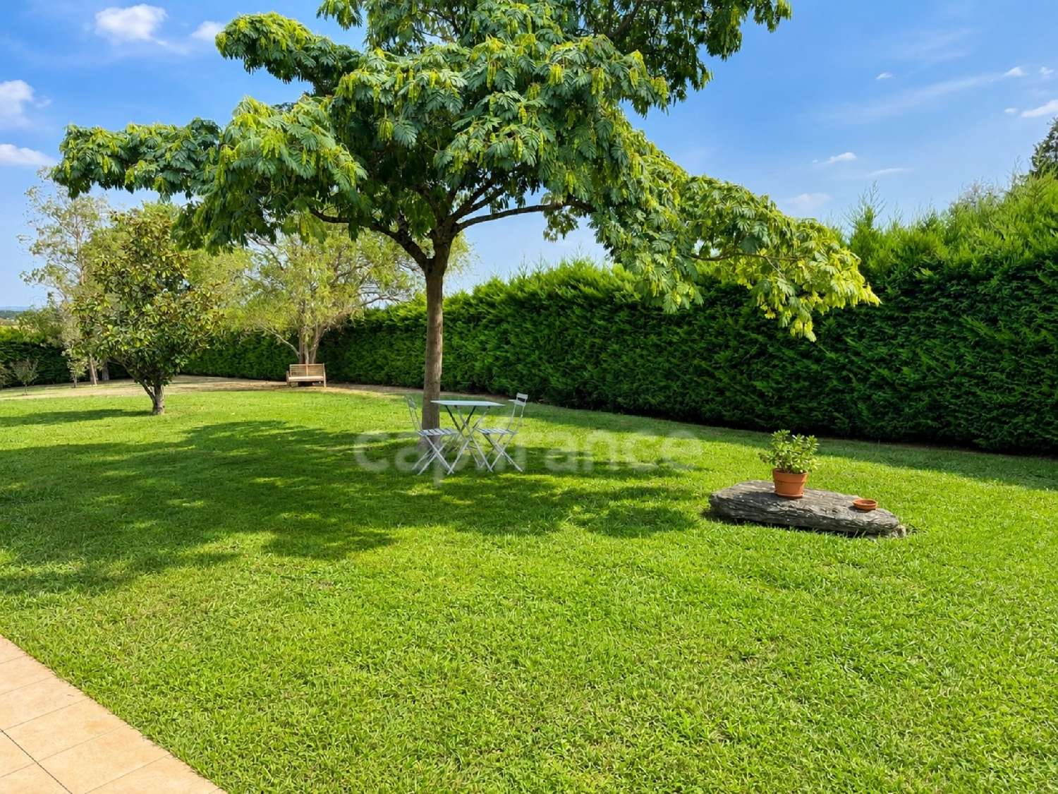  à vendre maison Rieumes Haute-Garonne 6