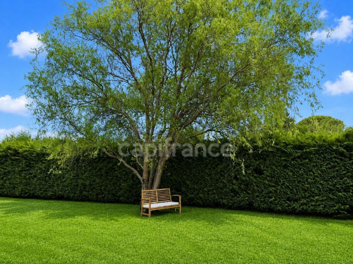  à vendre maison Rieumes Haute-Garonne 7