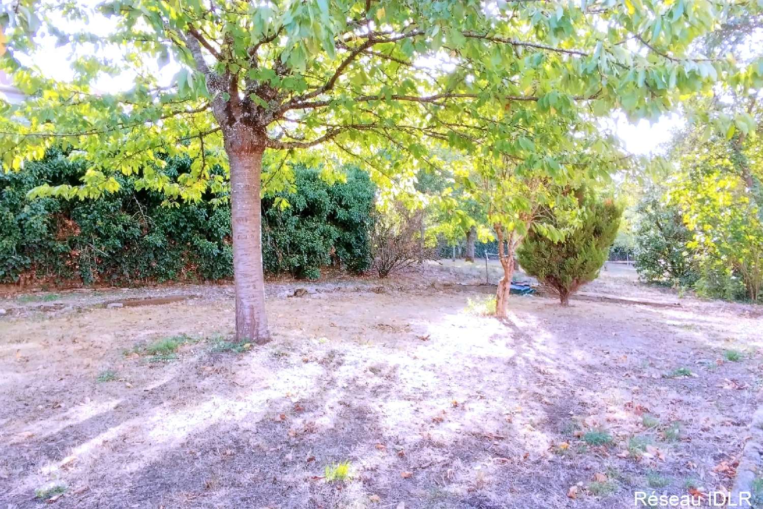 te koop huis Rolampont Haute-Marne 4