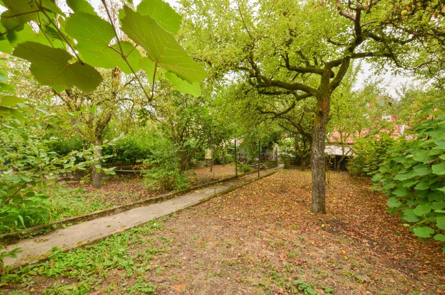 for sale house Rombas Moselle 2