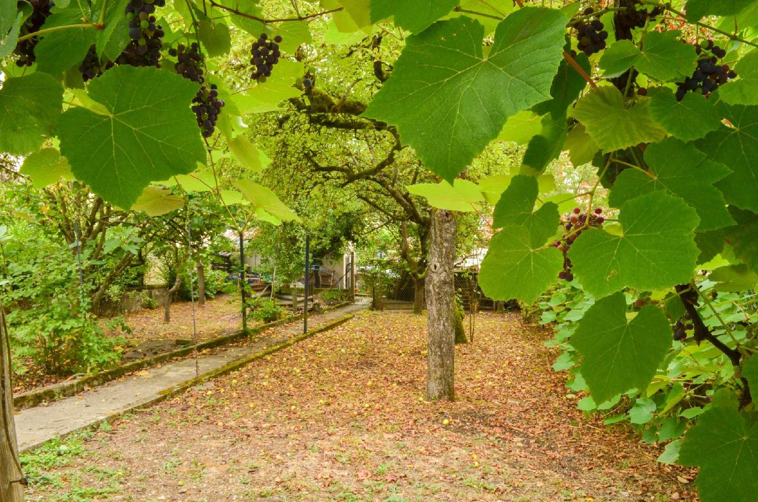 for sale house Rombas Moselle 8