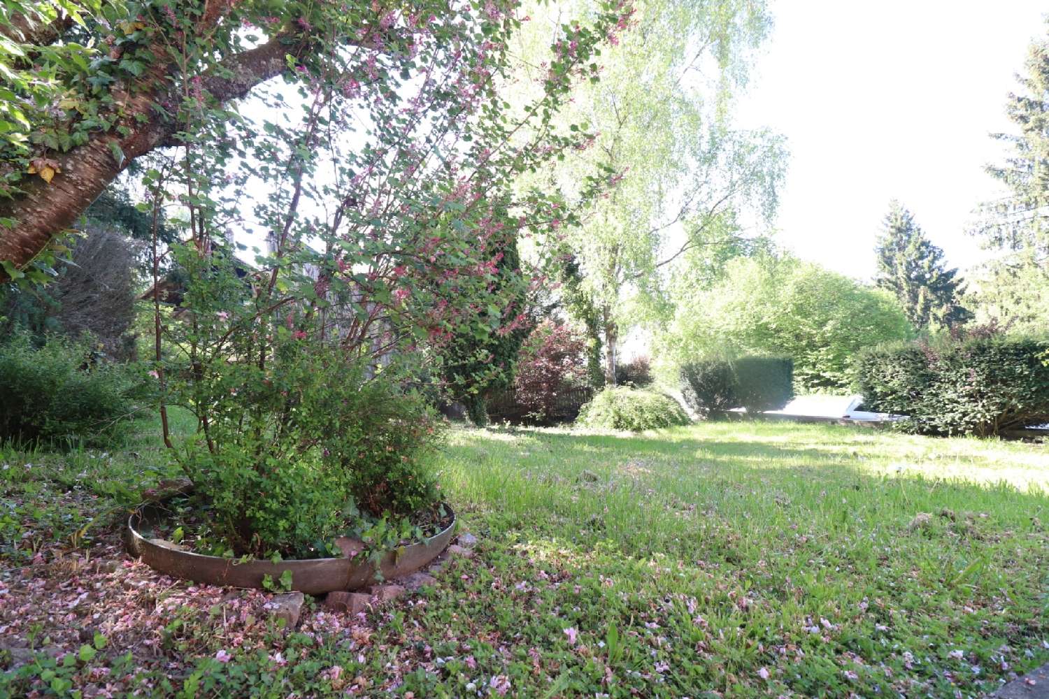 en venta casa Roppentzwiller Haut-Rhin 3