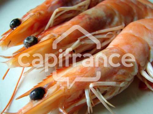 Royan Charente-Maritime house foto 7403907