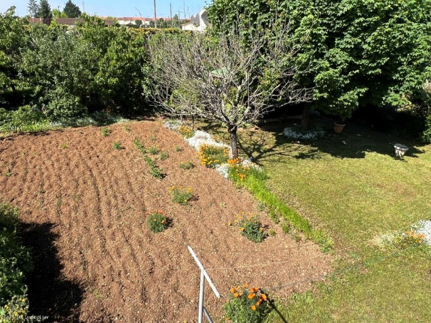 for sale house Ruffec Charente 4