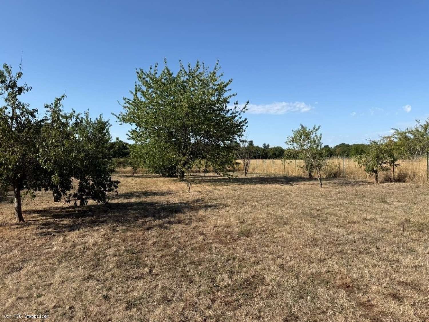 for sale house Ruffec Charente 3