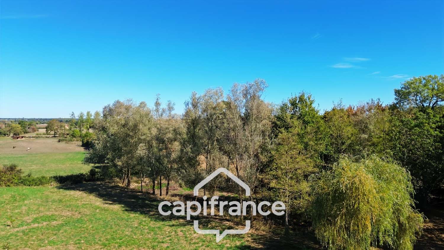 kaufen Haus Saillenard Saône-et-Loire 7