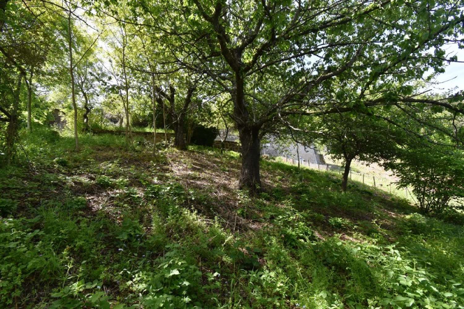  te koop huis Saint-Agrève Ardèche 5