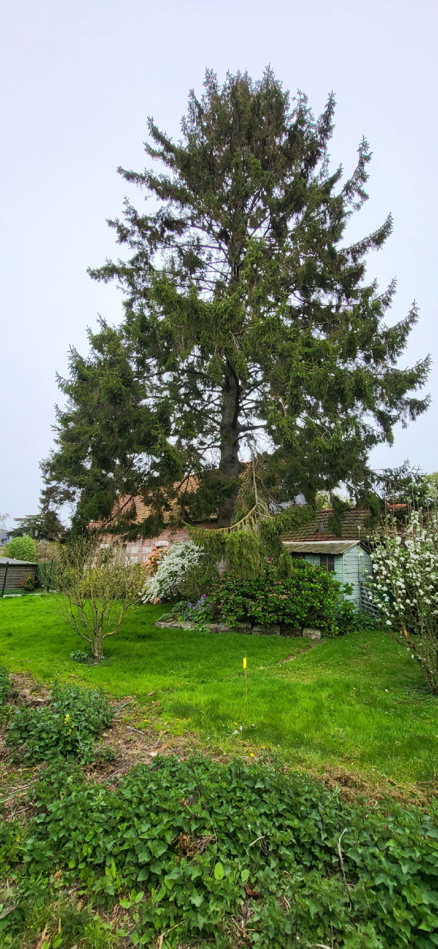 à vendre maison Saint-Aubin-le-Cauf Seine-Maritime 4