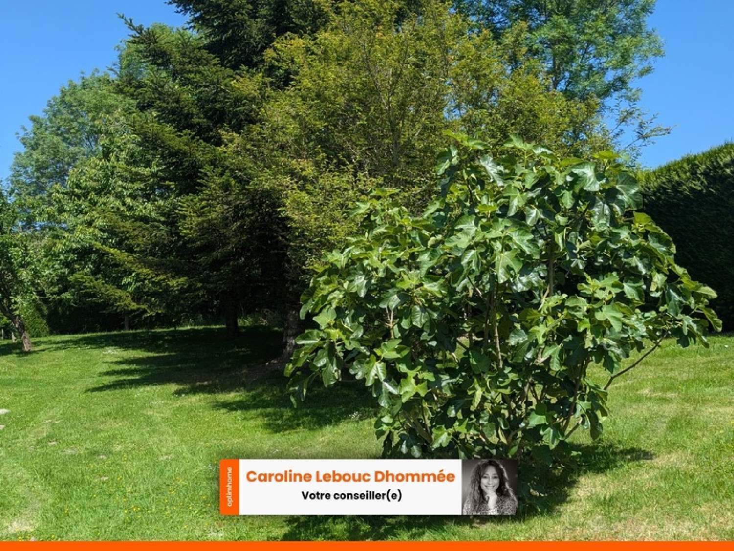 te koop huis Saint-Aubin-des-Grois Orne 7
