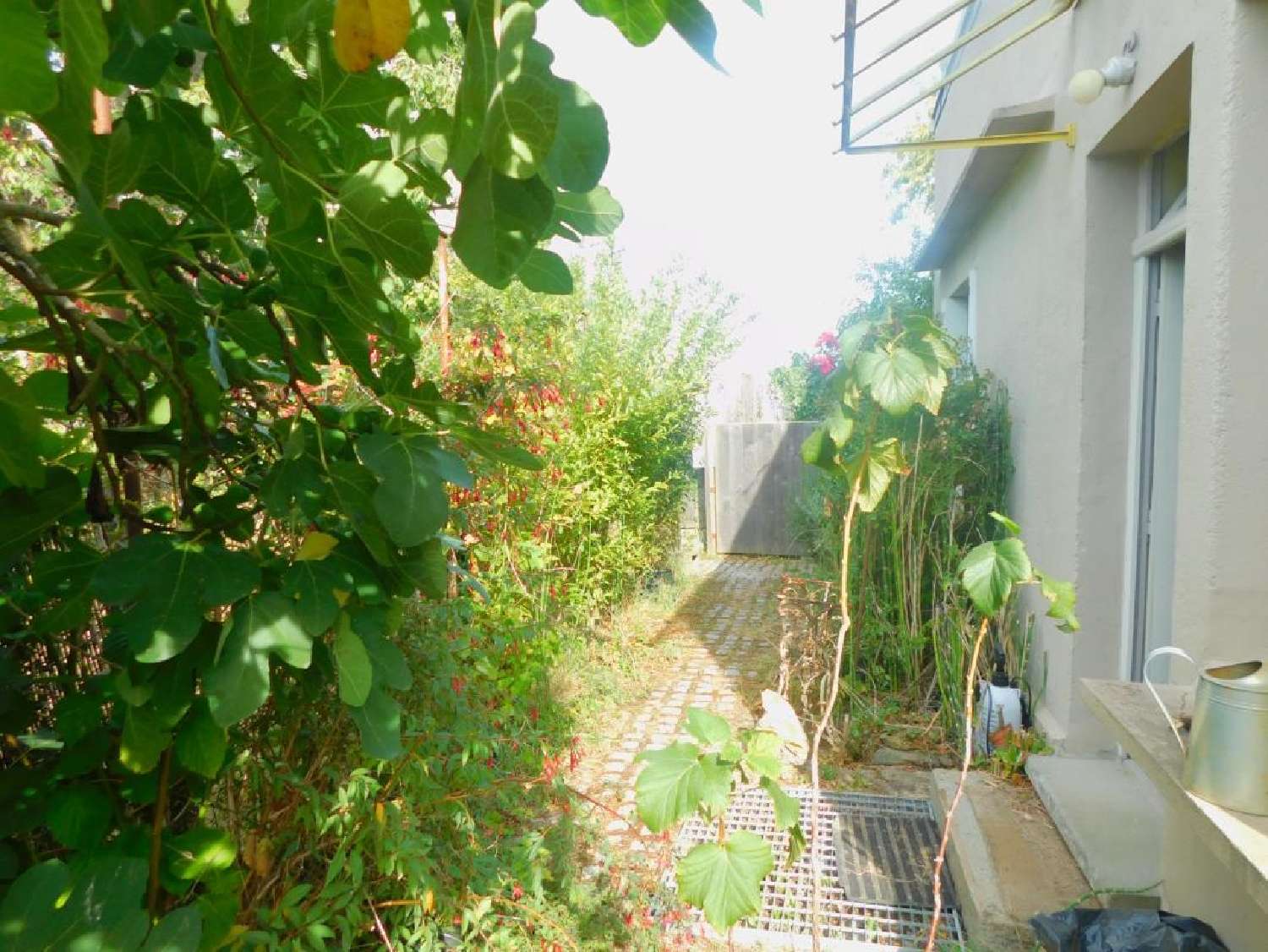  kaufen Haus Saint-Brice-en-Coglès Ille-et-Vilaine 2