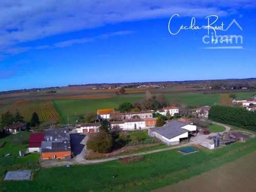 Saint-Caprais-de-Blaye Gironde casa foto