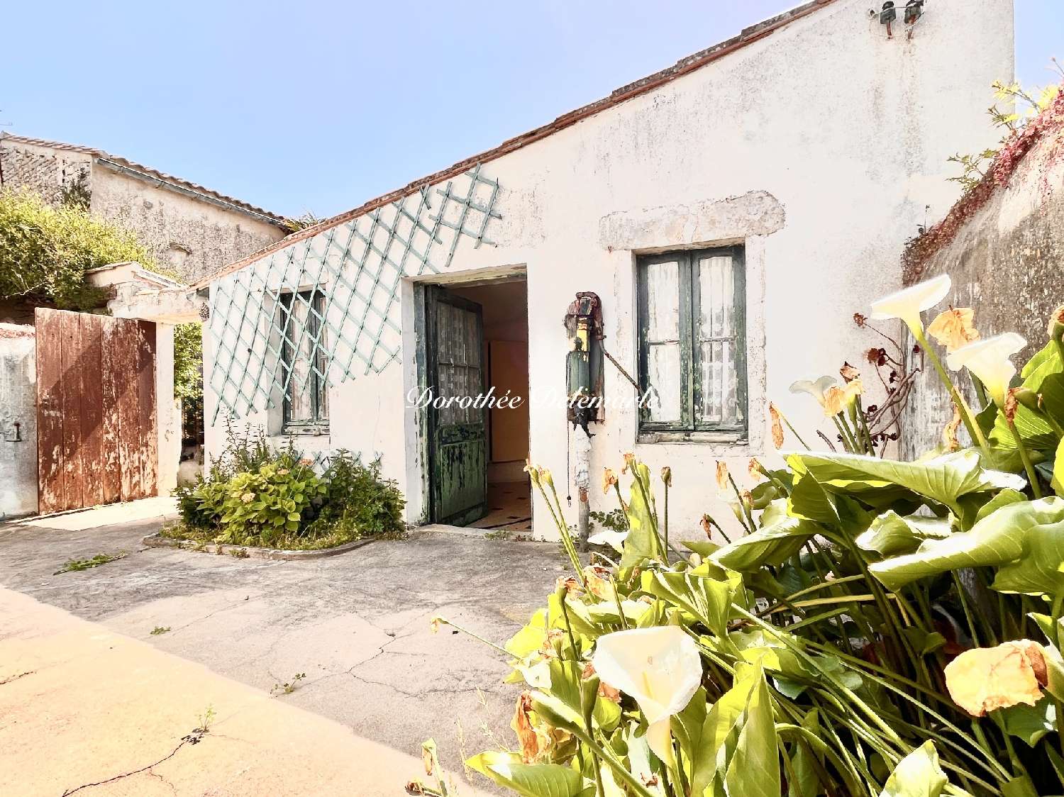 à vendre maison Saint-Clément-des-Baleines Charente-Maritime 2
