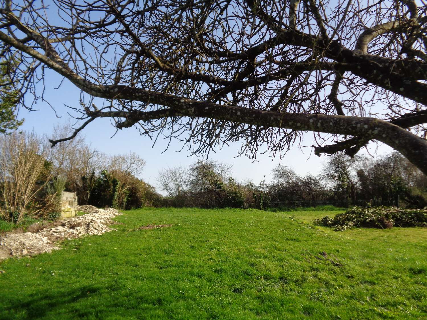 kaufen Haus Saint-Dizant-du-Gua Charente-Maritime 2
