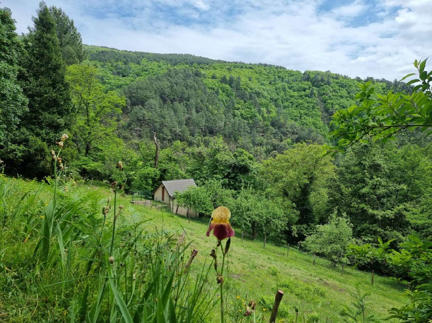 kaufen Haus Saint-Étienne-Vallée-Française Lozère 4