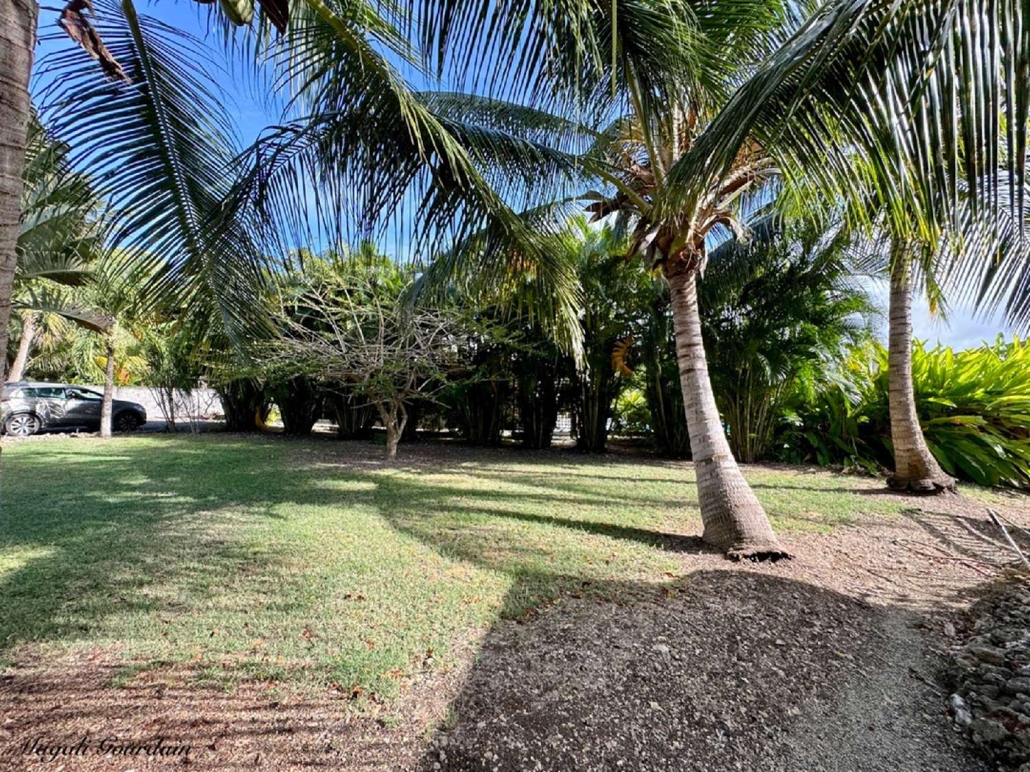en venta casa Saint-François Guadeloupe 8