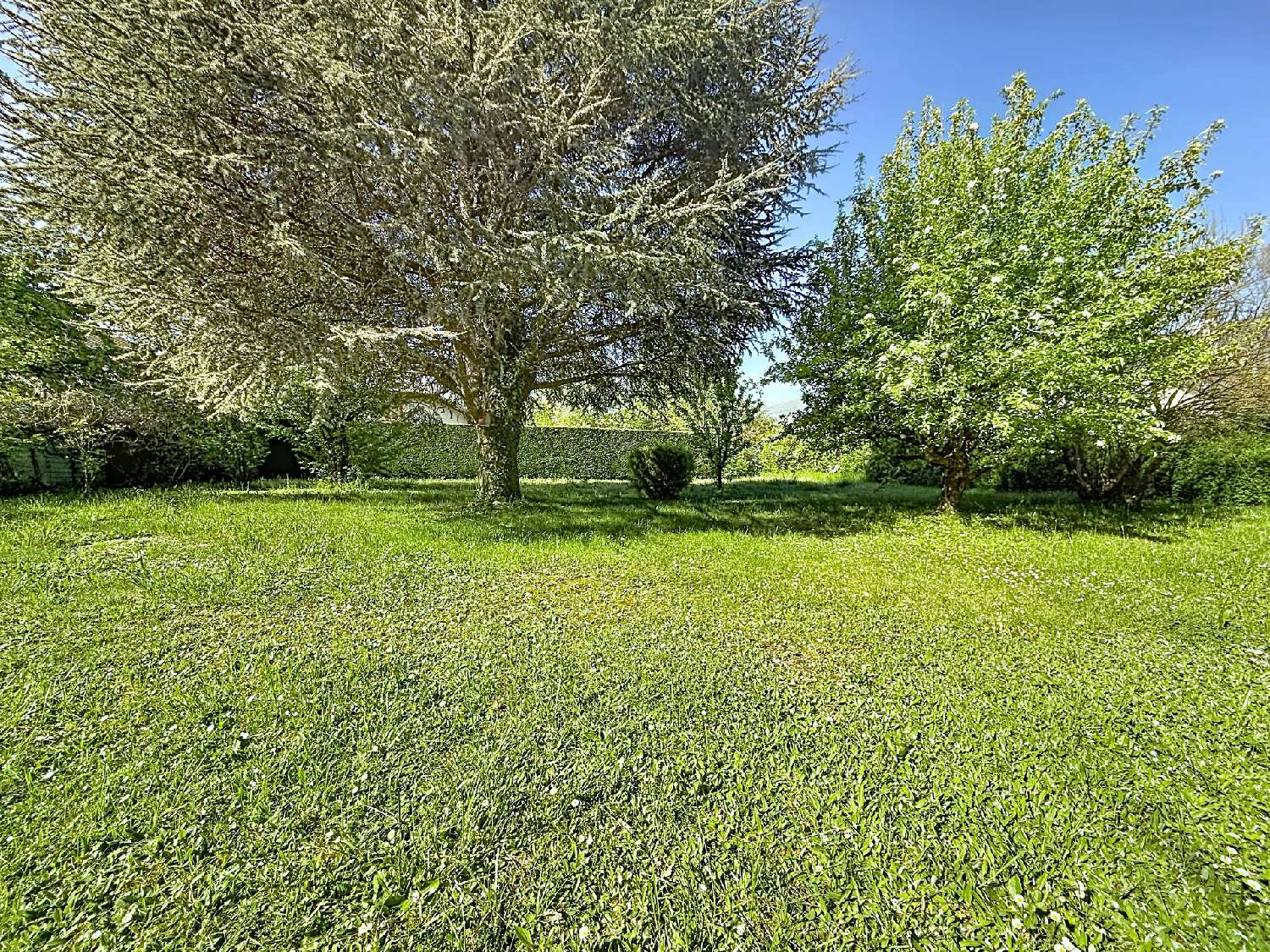 for sale house Saint-Genis-Pouilly Ain 4