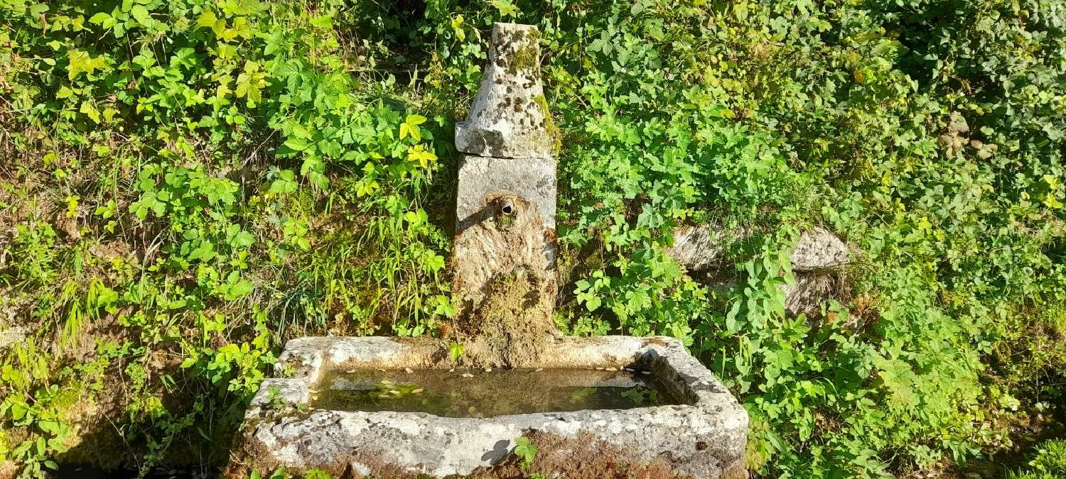 te koop huis Saint-Geoire-en-Valdaine Isère 4