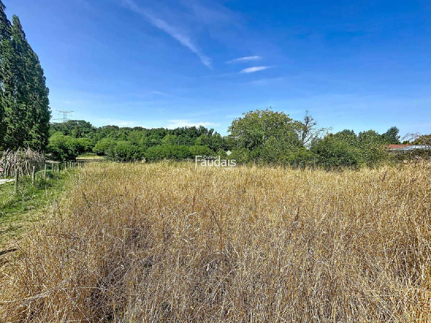 for sale house Saint-Germain-sur-Sèves Manche 8