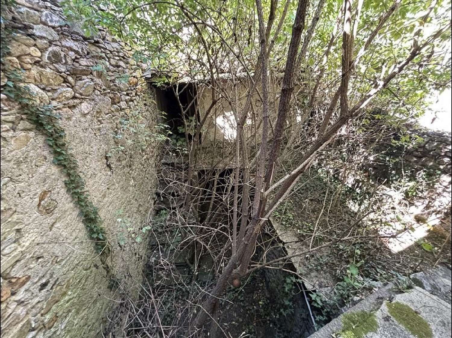  à vendre maison Saint-Gervais-sur-Mare Hérault 3