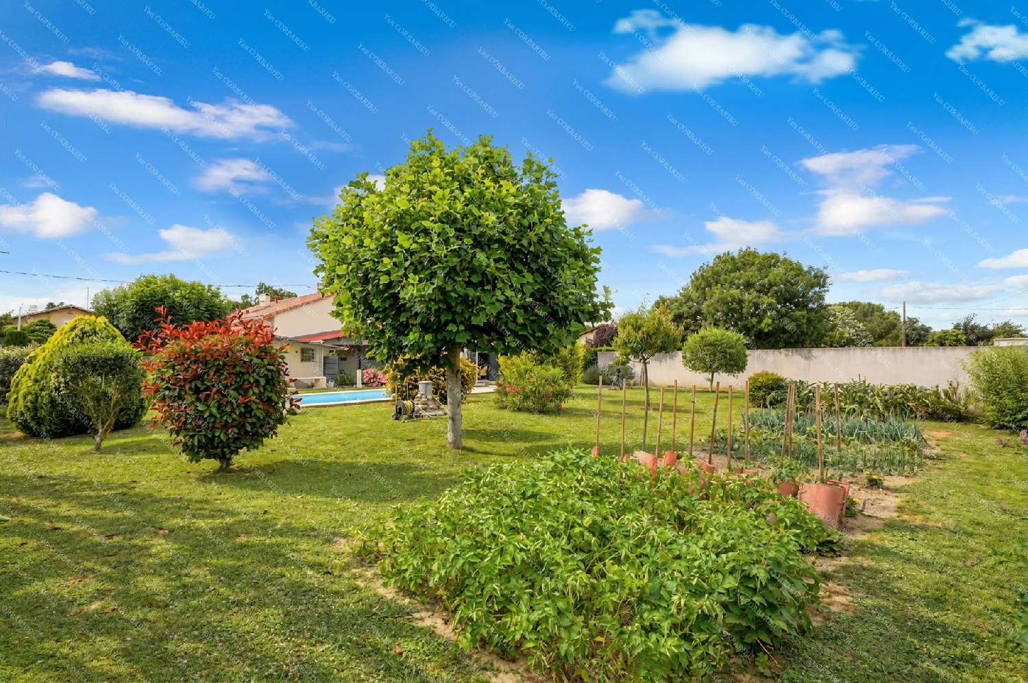  kaufen Haus Saint-Hilaire Haute-Garonne 5