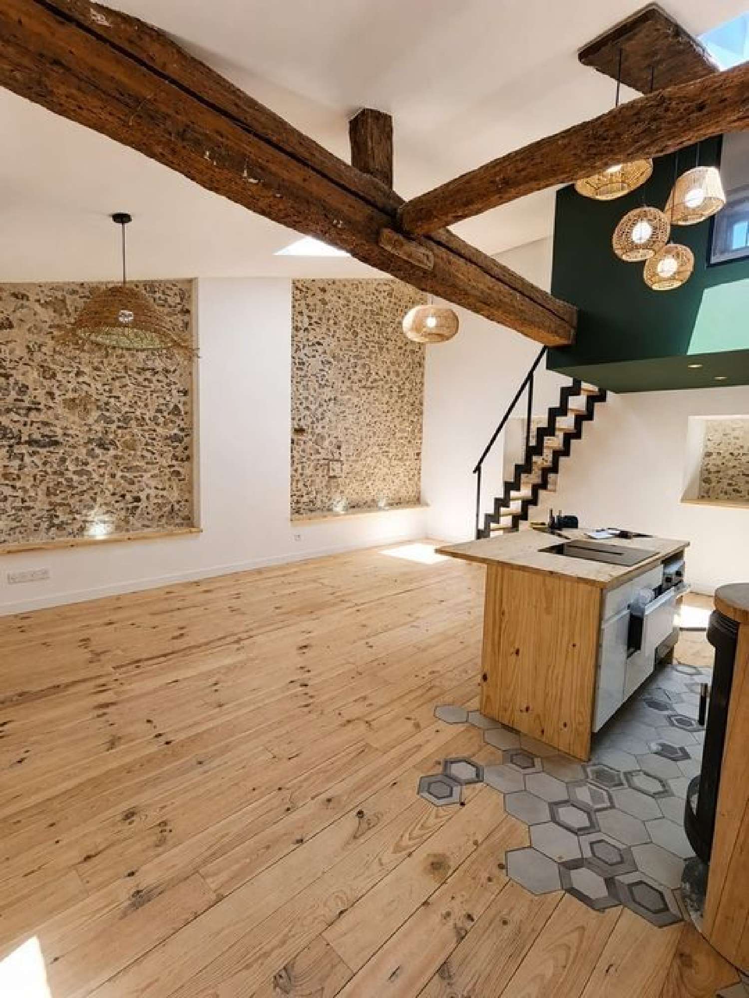  à vendre maison Saint-Hilaire Aude 1
