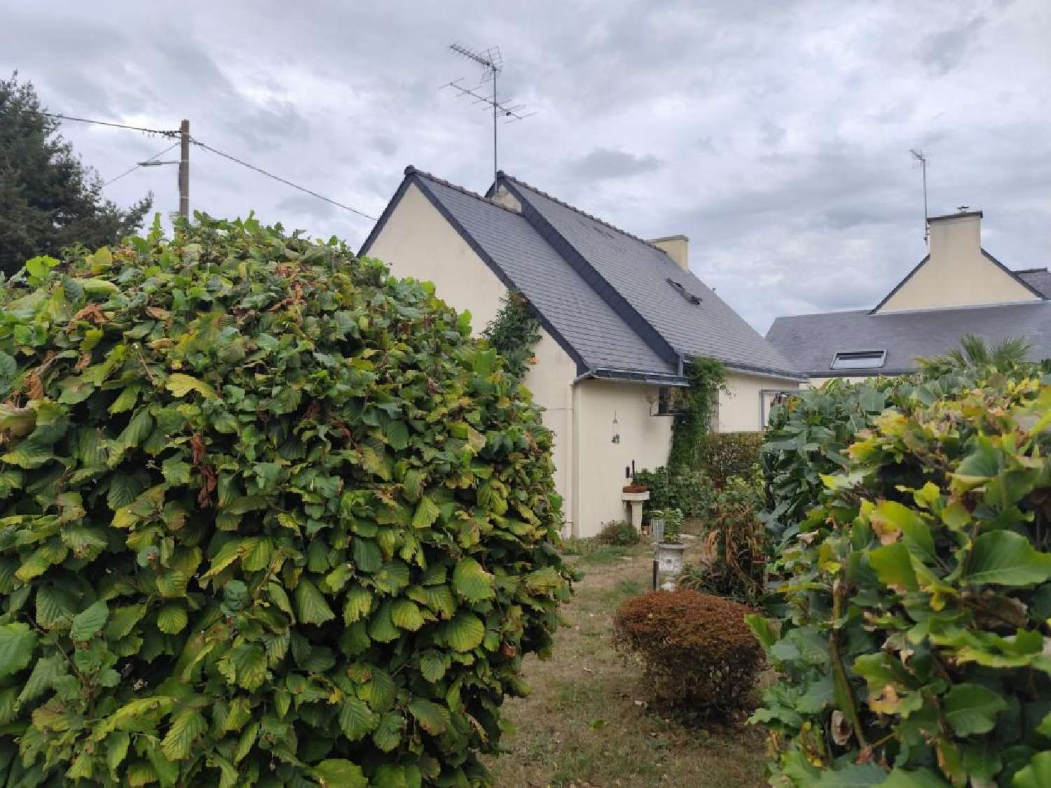 te koop huis Saint-Jacut-les-Pins Morbihan 8
