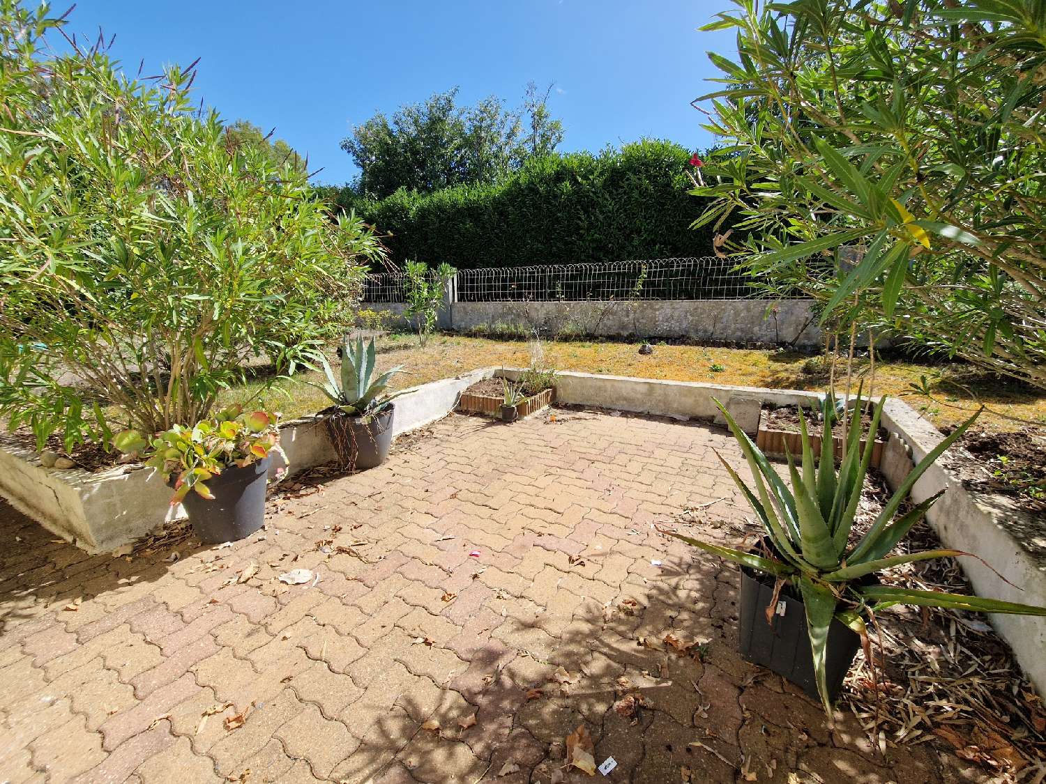  à vendre maison Saint-Jean-d'Angély Charente-Maritime 8
