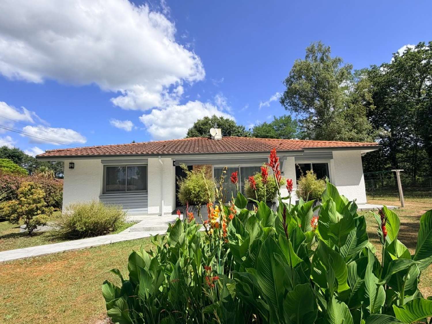  kaufen Haus Saint-Martin-d'Oney Landes 6