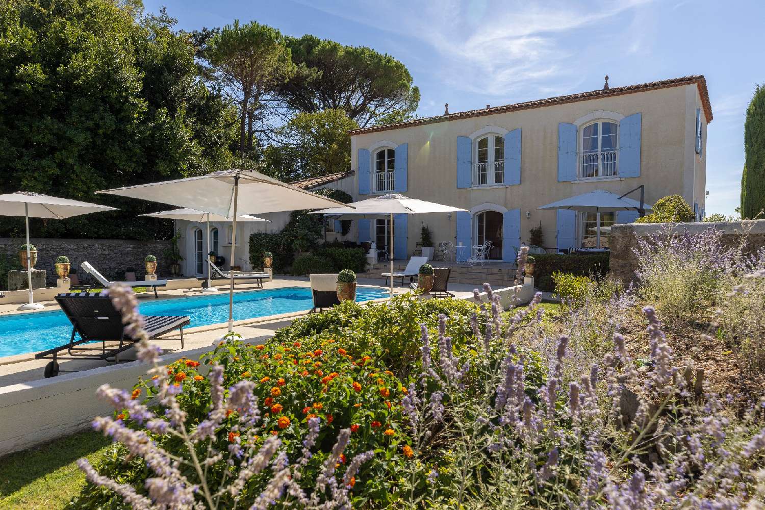  à vendre maison Saint-Mathieu-de-Tréviers Hérault 6