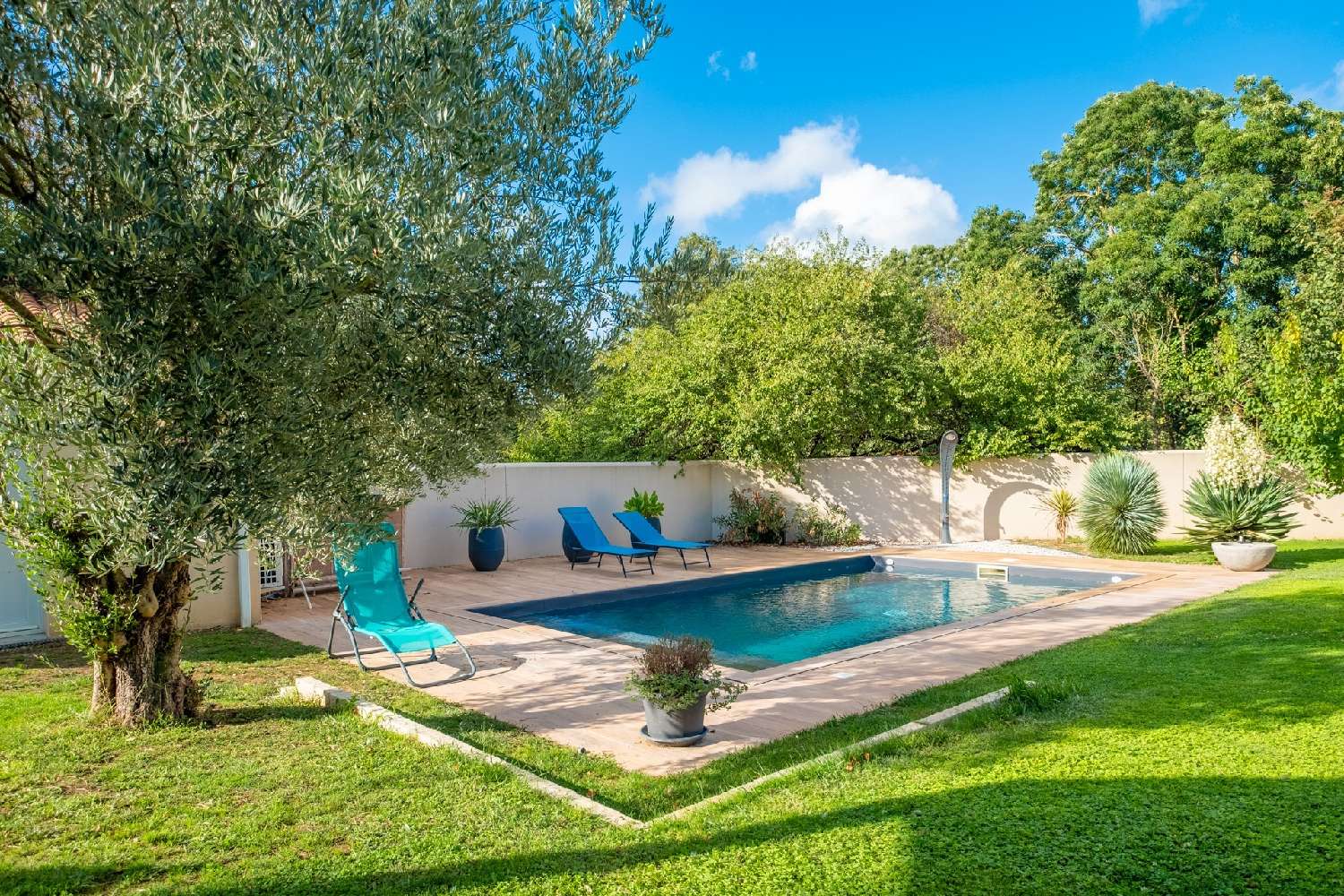 kaufen Haus Saint-Médard-d'Aunis Charente-Maritime 4