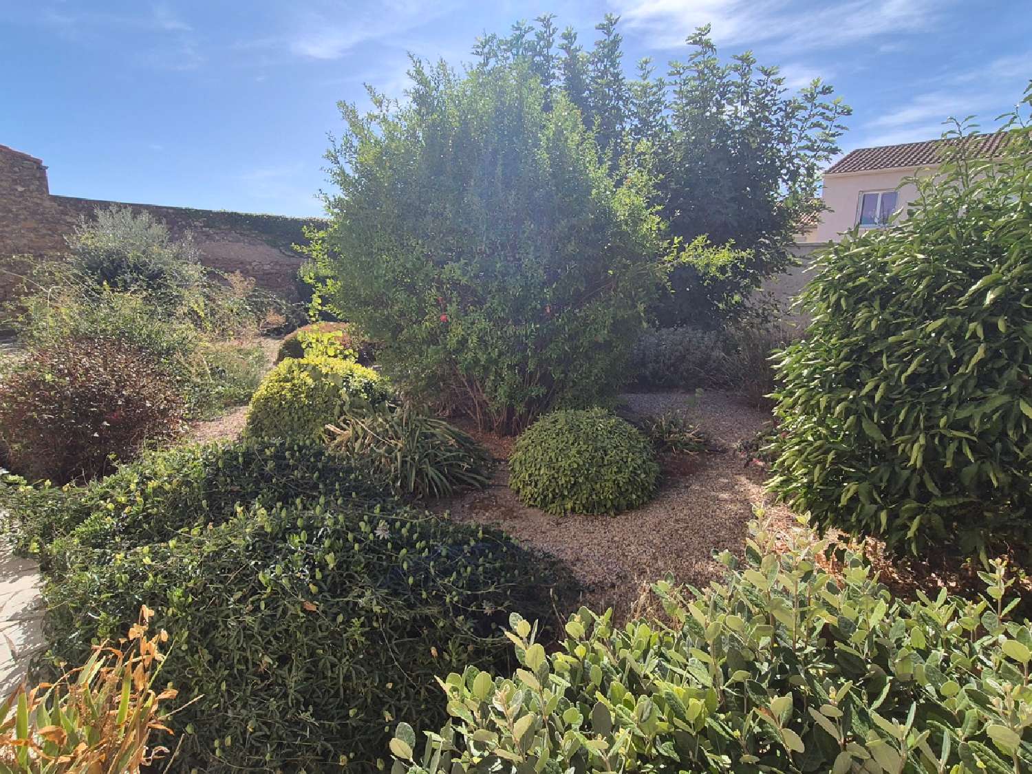 à vendre maison Saint-Nazaire-de-Ladarez Hérault 4
