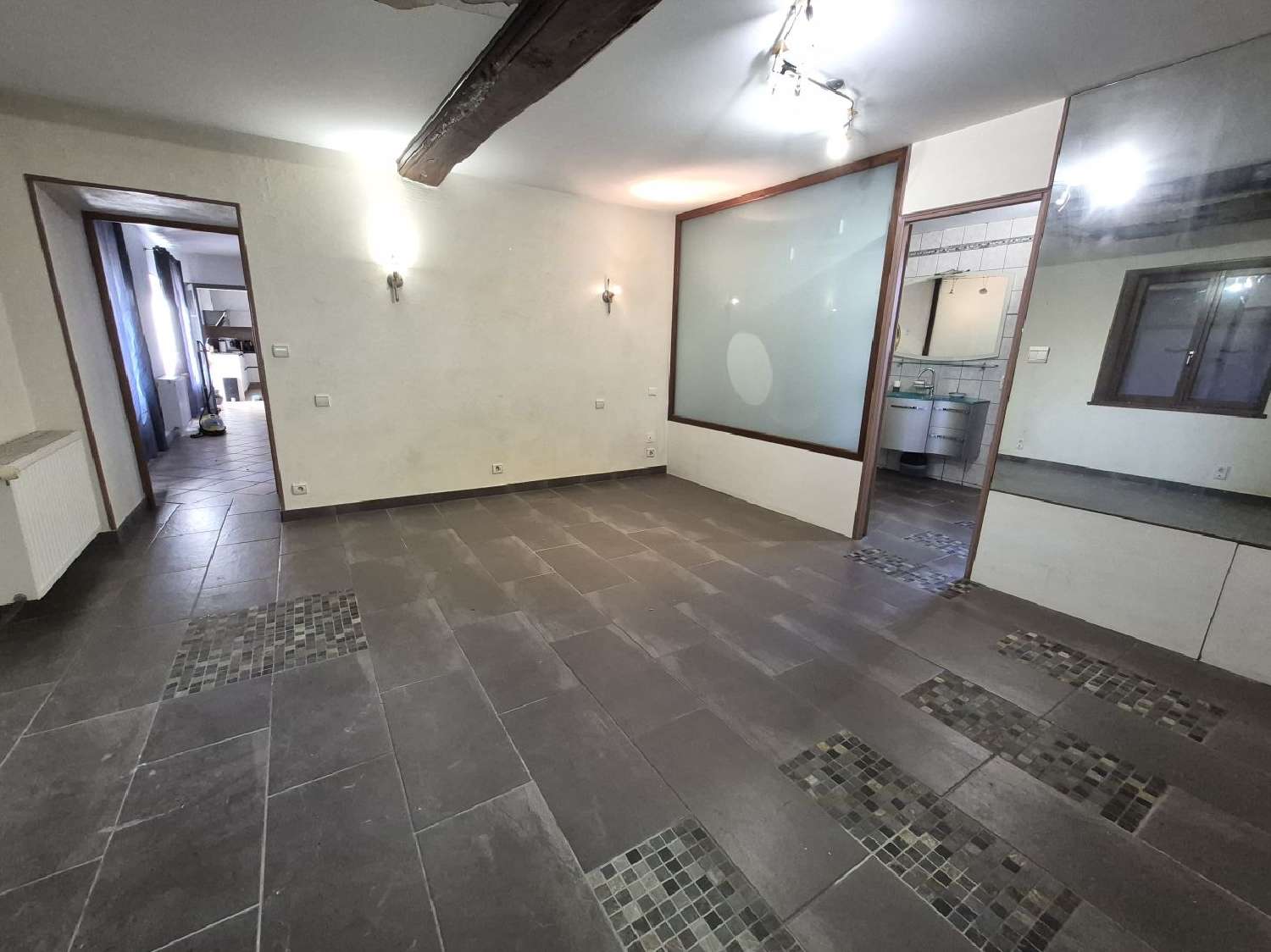  en venta casa Saint-Paul-de-Varax Ain 4