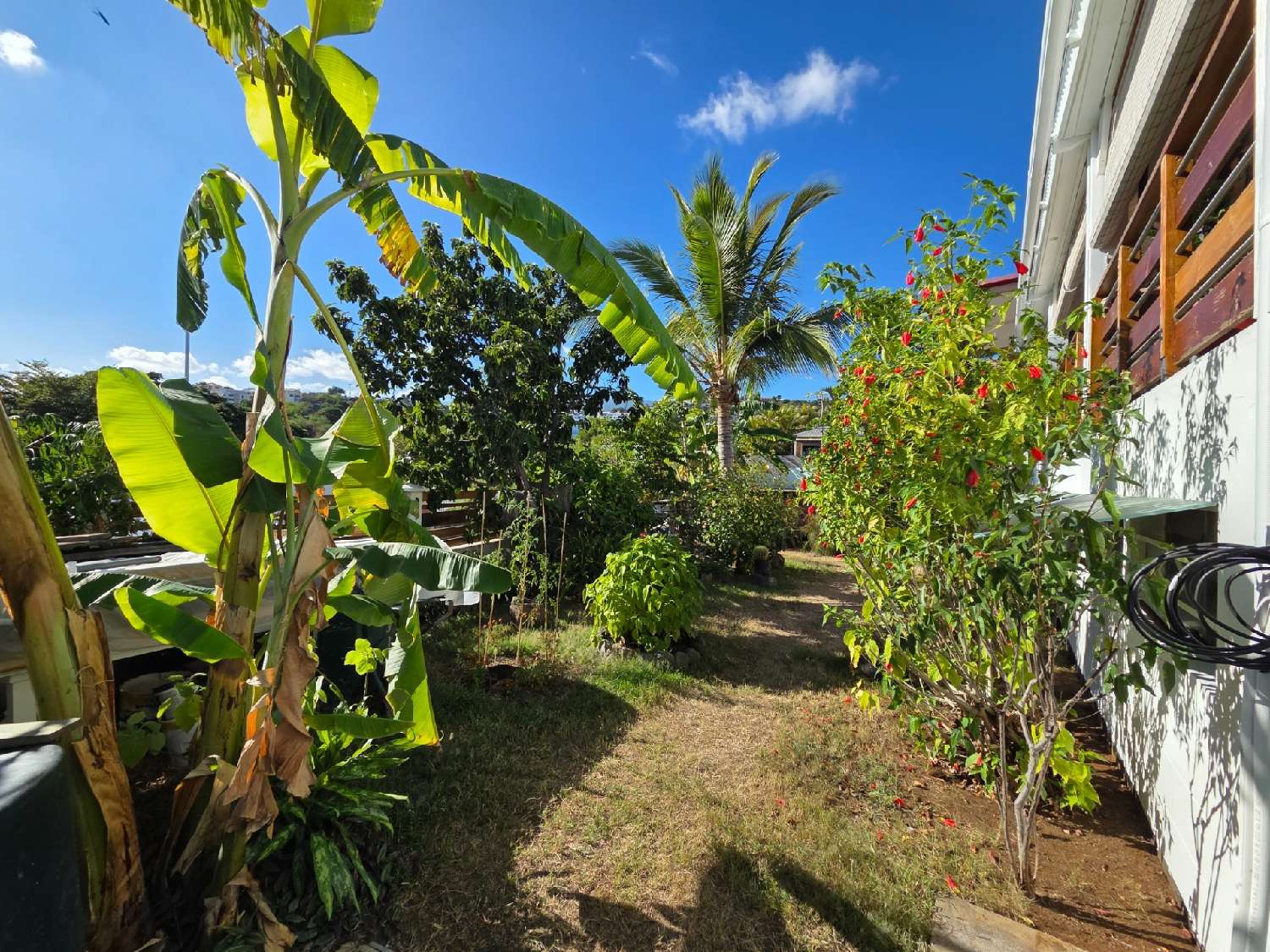 te koop huis Saint-Paul La Réunion 4