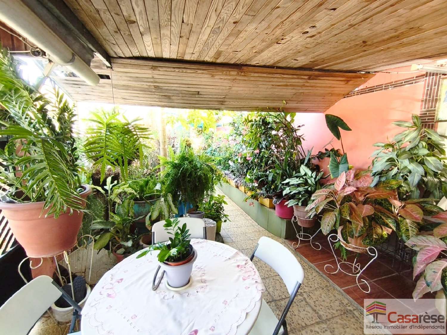 kaufen Haus Saint-Pierre La Réunion 3