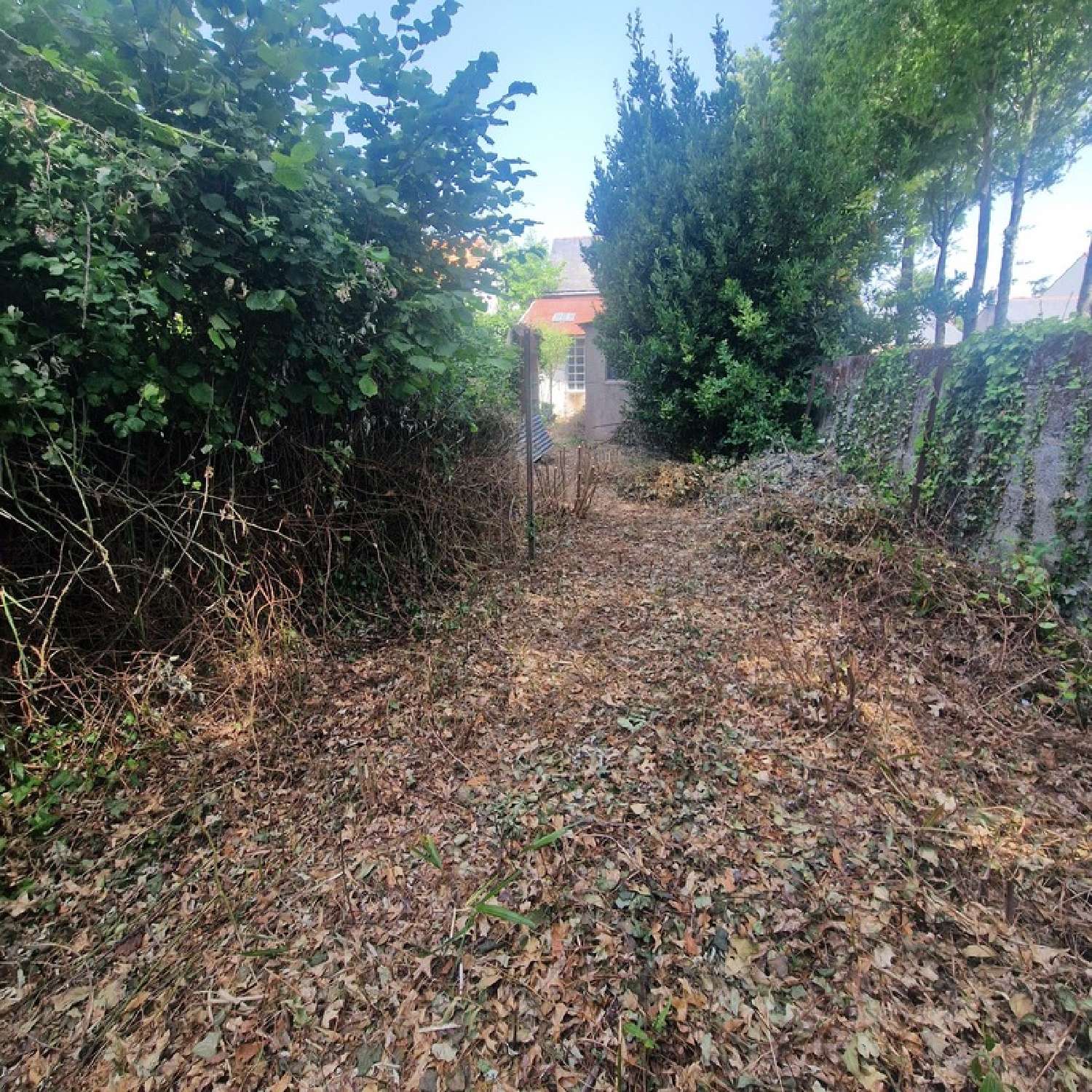  te koop huis Saint-Sébastien-sur-Loire Loire-Atlantique 8