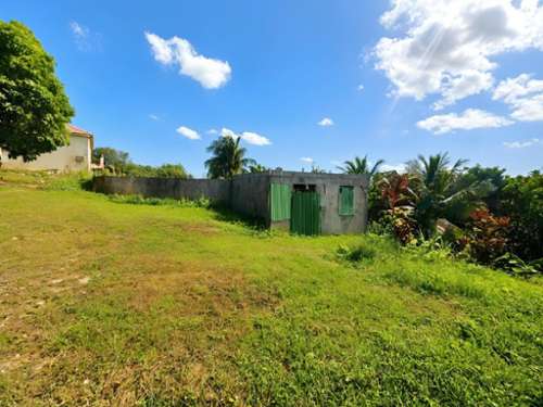 Sainte-Anne Guadeloupe Haus Bild 7403887